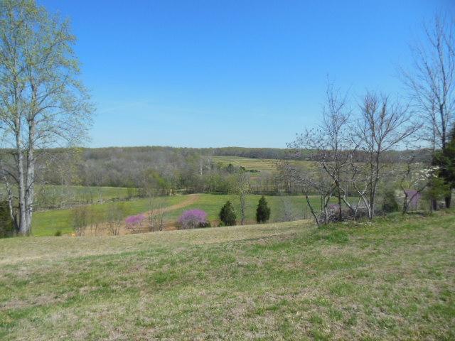 180 Batson Road Cunningham, TN 37052 - Photo 19 of 20 ANOTHER VIEW FROM THE FRONT DOOR