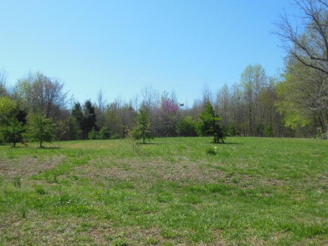 180 Batson Road Cunningham, TN 37052 - Photo 20 of 20 YARD BEHIND THE DETACHED 2-CAR GARAGE