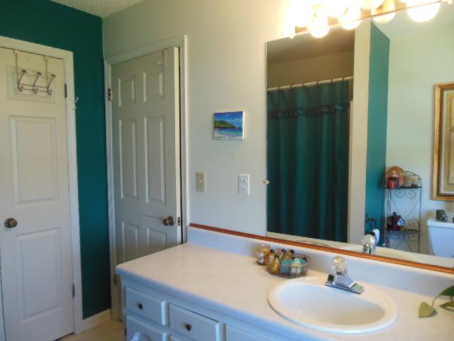 180 Batson Road Cunningham, TN 37052 - Photo 9 of 20 MASTER BATH