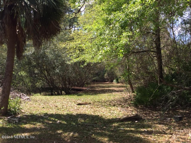 10235 Shark Road West Jacksonville, FL 32226 - Photo 28 of 40 a view of a yard with large trees