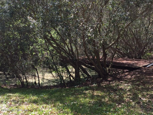 10235 Shark Road West Jacksonville, FL 32226 - Photo 29 of 40 a view of a large tree