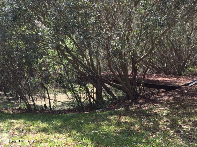 10235 Shark Road West Jacksonville, FL 32226 - Photo 30 of 40 a backyard of a house with lots of green space