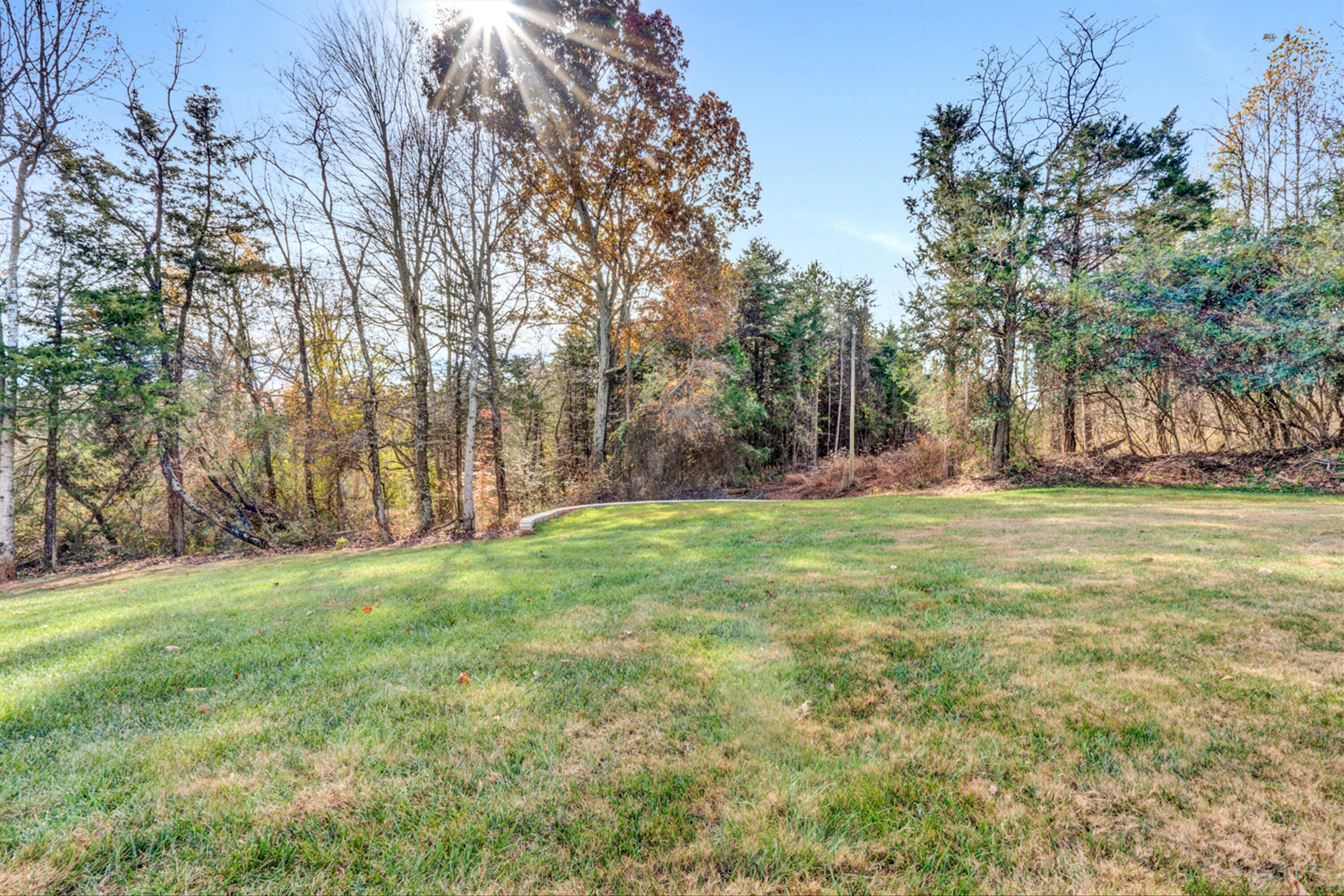 1747 Edwardsville Road Hardy, VA 24101 - Photo 18 of 21 Yard