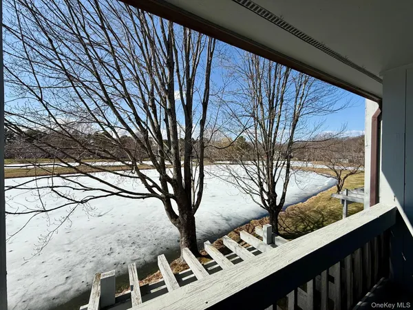 a view of a house with a tree in front