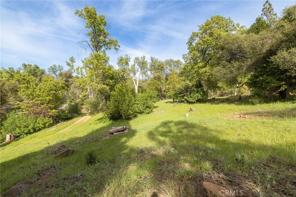 36919 Deer Path Circle Coarsegold, CA 93614 - Photo 64 of 69