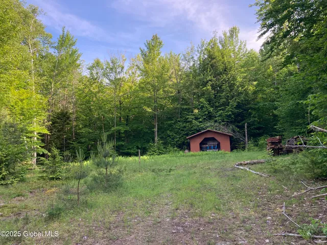 $115,000 | 51 Sams Road, Schroon, NY 12870