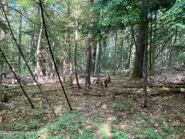 $115,000 | 51 Sams Road, Schroon, NY 12870