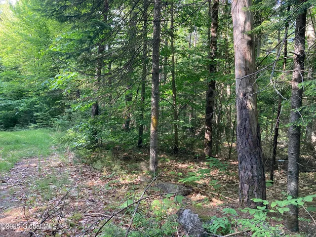 $115,000 | 51 Sams Road, Schroon, NY 12870