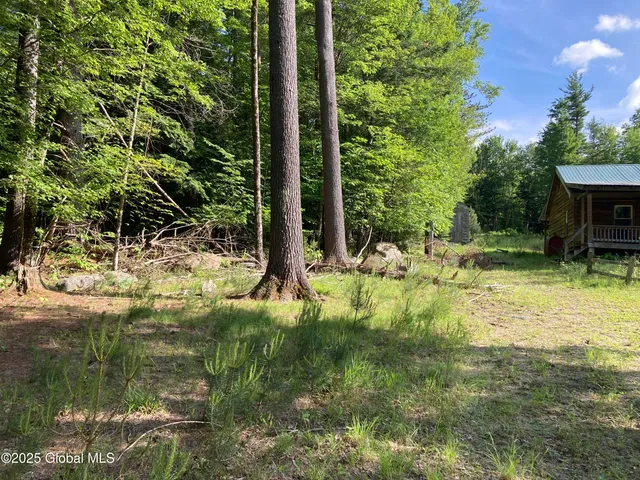 $115,000 | 51 Sams Road, Schroon, NY 12870