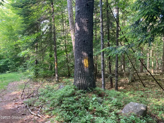 $115,000 | 51 Sams Road, Schroon, NY 12870