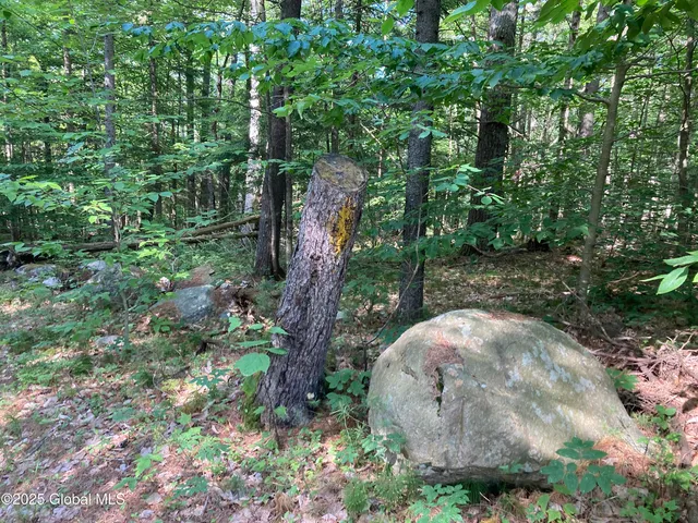 $115,000 | 51 Sams Road, Schroon, NY 12870