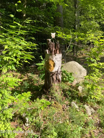 $115,000 | 51 Sams Road, Schroon, NY 12870