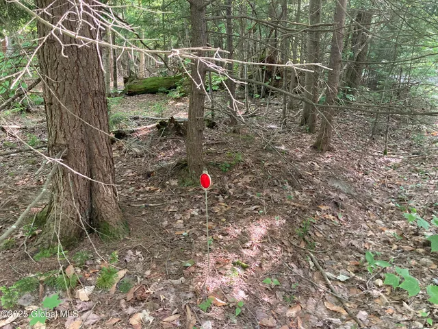 $115,000 | 51 Sams Road, Schroon, NY 12870