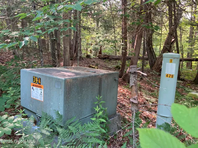 $115,000 | 51 Sams Road, Schroon, NY 12870