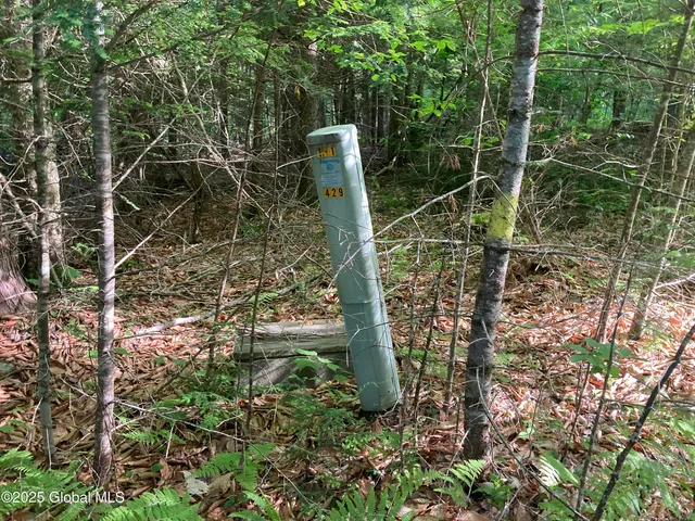 $115,000 | 51 Sams Road, Schroon, NY 12870