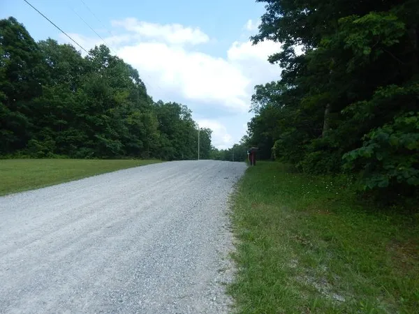 a view of a field with a trees in the background