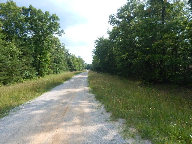 0 4th Drive Altamont, TN 37301 - Photo 7 of 11 a view of a pathway both side of yard