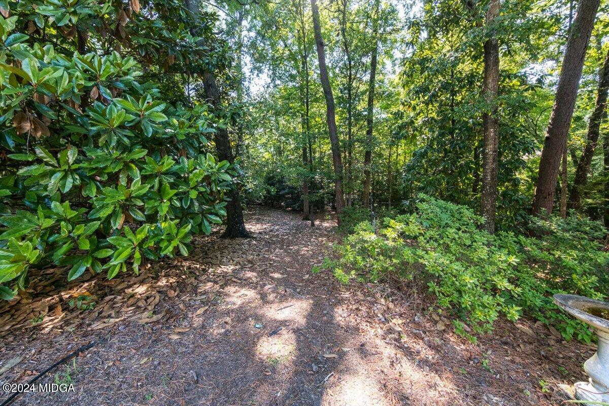 4180 Canyon Road Macon, GA 31210 - Photo 13 of 39 36-DSCF1639