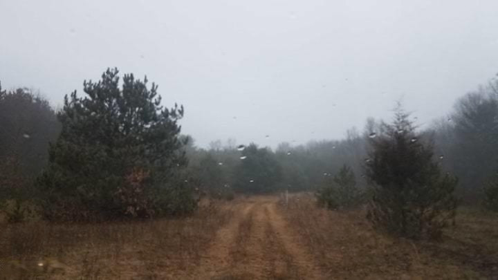 0 Monroe Road White Cloud, MI 49349 - Photo 8 of 11