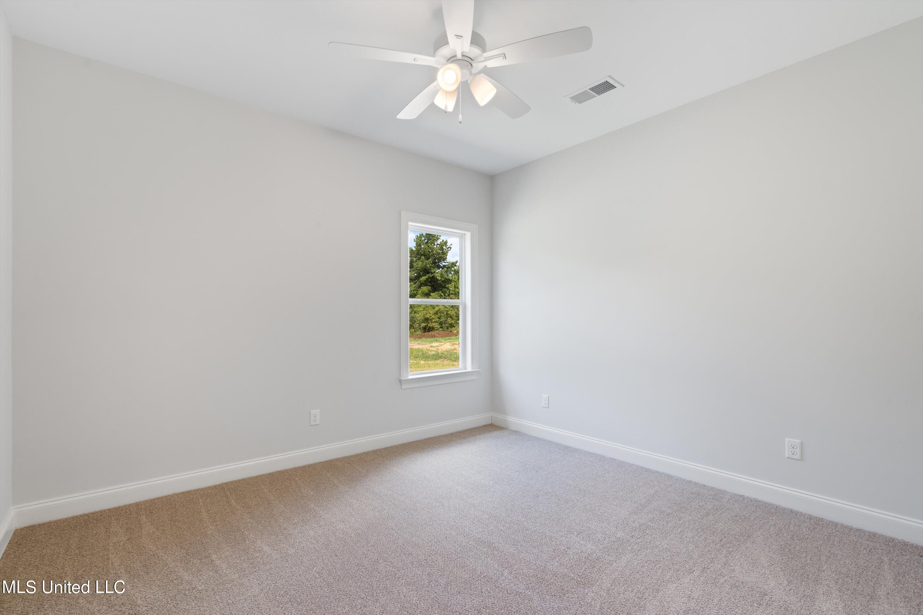 14218 Hidden Loop Byhalia, MS 38611 - Photo 26 of 45 21-DSC1149