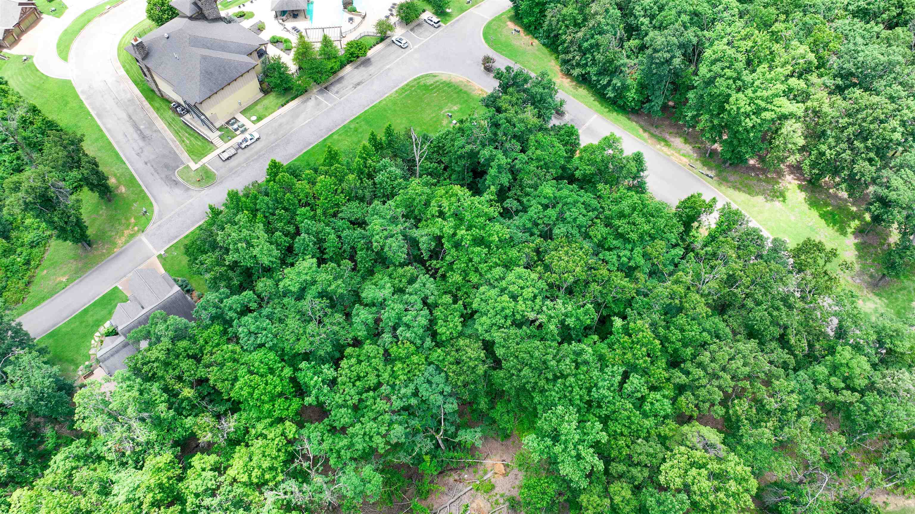 58 Breathtaking Loop Savannah, TN 38372 - Photo 7 of 36