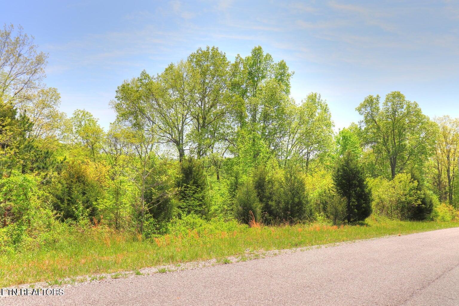 Lot 173 Saddle Ridge Drive Speedwell, TN 37870 - Photo 1 of 11 trees
