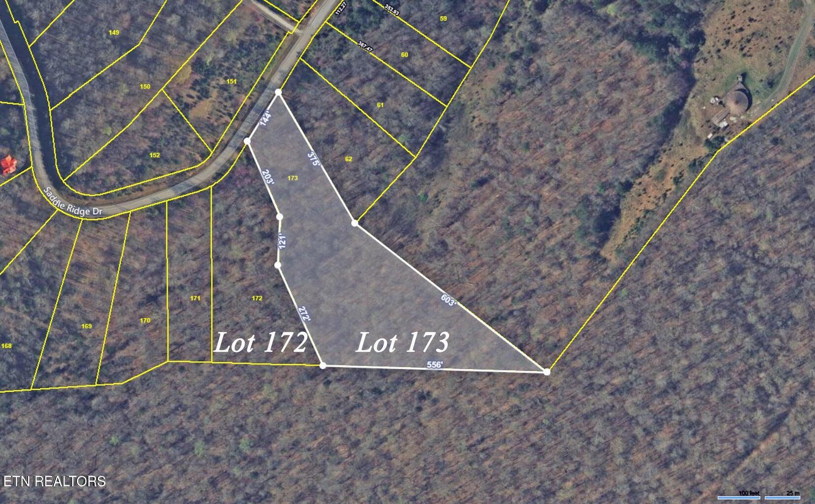 Lot 173 Saddle Ridge Drive Speedwell, TN 37870 - Photo 4 of 11 aerial lots