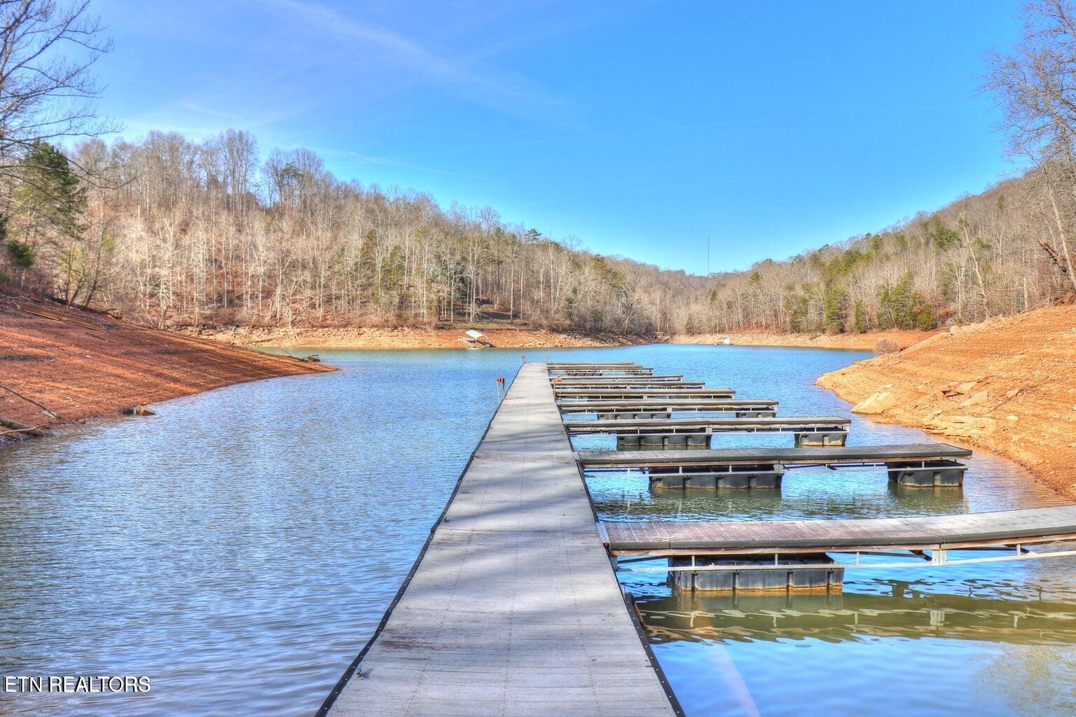 Lot 173 Saddle Ridge Drive Speedwell, TN 37870 - Photo 7 of 11 close up marina