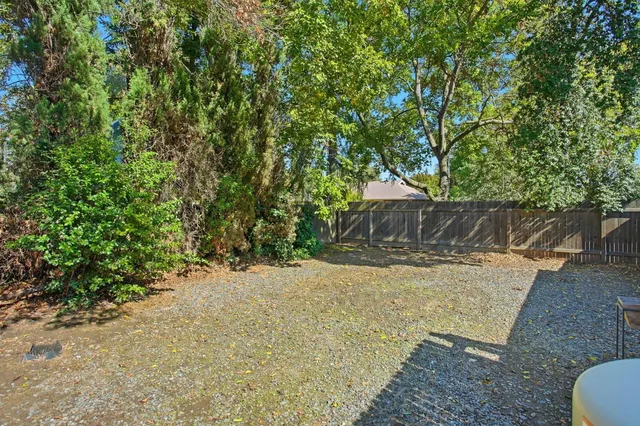 a view of a yard with large tree