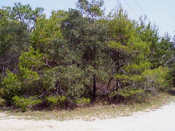 0 Betty Street Santa Rosa Beach, FL 32459 - Photo 1 of 1 an outdoor space with seating