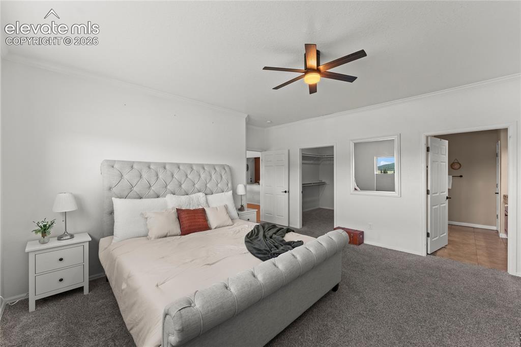 106 Joshua Road Divide, CO 80814 - Photo 26 of 39