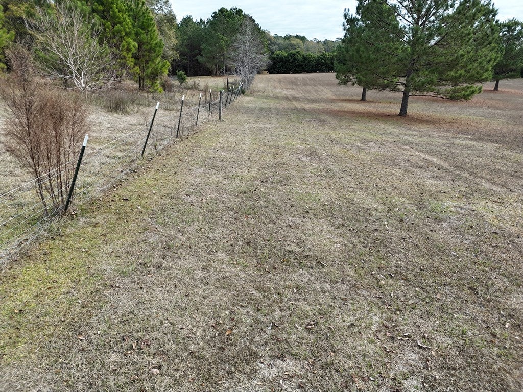 2-acr Lewis Road Cairo, GA 39828 - Photo 11 of 24 Gallery Image 11
