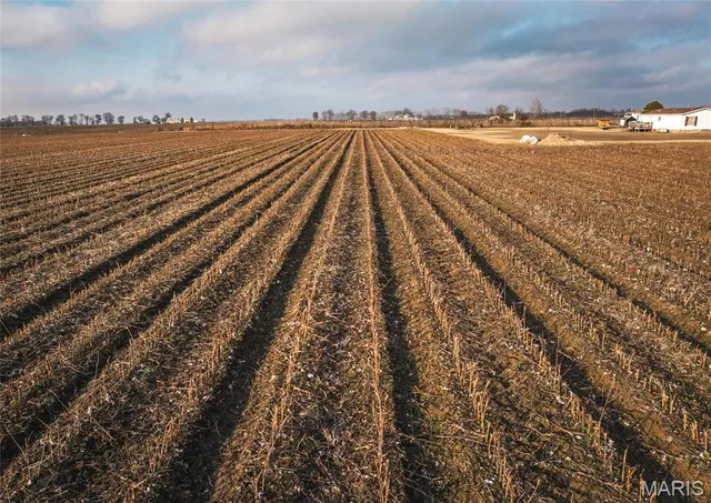 $380,000 | 0 Ellen Avenue, Sikeston, MO 63801