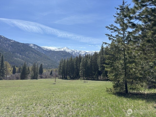 0 Twisp River Road Twisp, WA 98856 - Photo 1 of 1 a view of outdoor space and mountain view