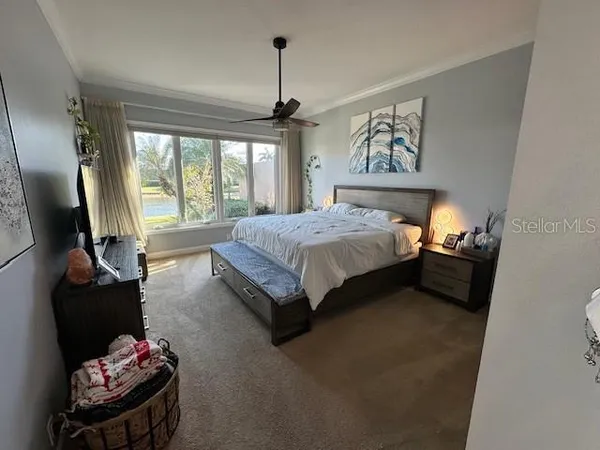 a bedroom with a bed furniture and a window