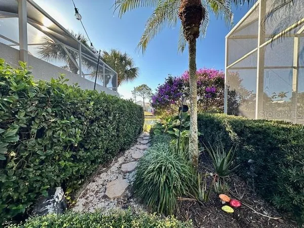 a plant that is in front of flower