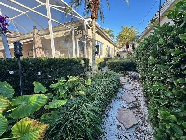 a view of a garden with plants