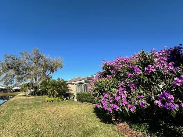 a view of a bunch of flowers