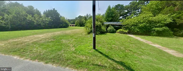 a view of a back yard