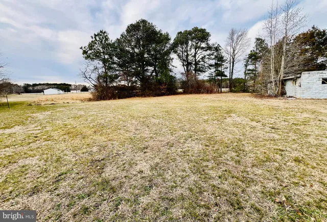 a view of yard covered with snow