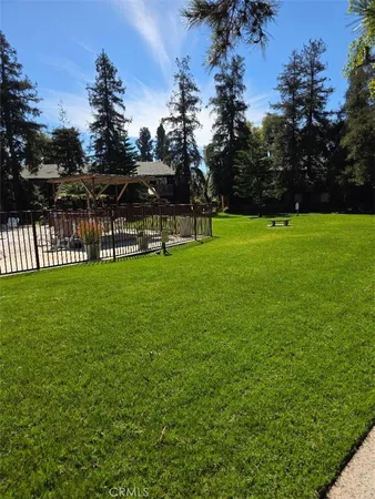 a view of a park with large trees