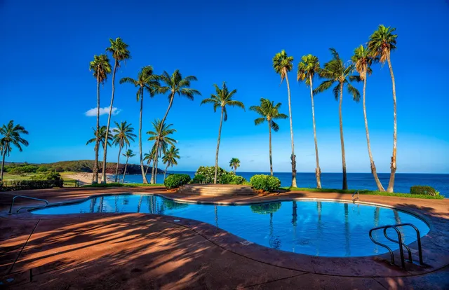 a view of a dry yard with trees