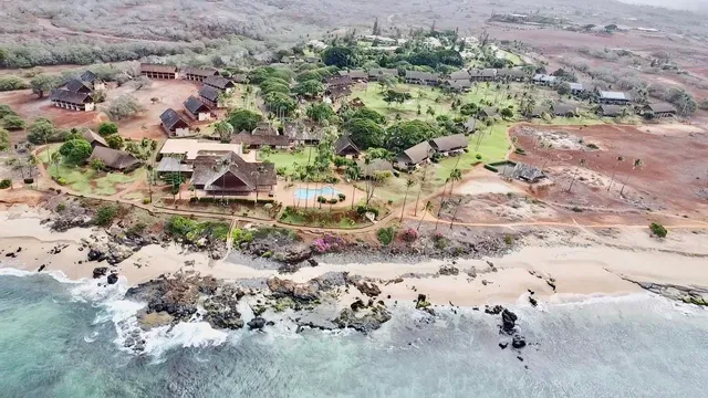 a view of a yard with ocean view