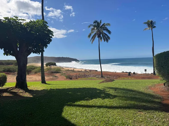 $449,000 | 255 Kepuhi Place, Unit 4A08/2244, Maunaloa, HI 96770