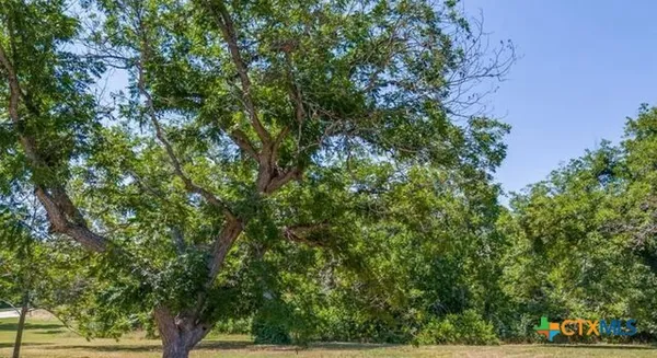 an outdoor space with lots of trees