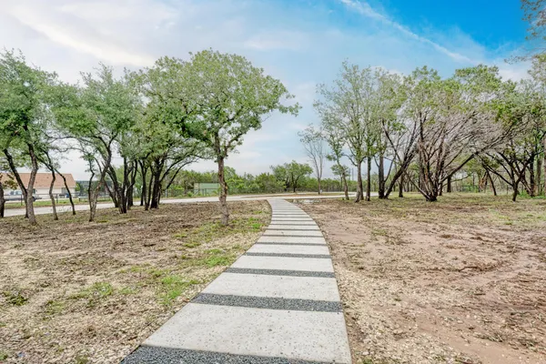 a park view with large trees