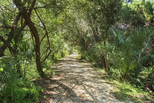 a view of a pathway both side of grassy field with trees