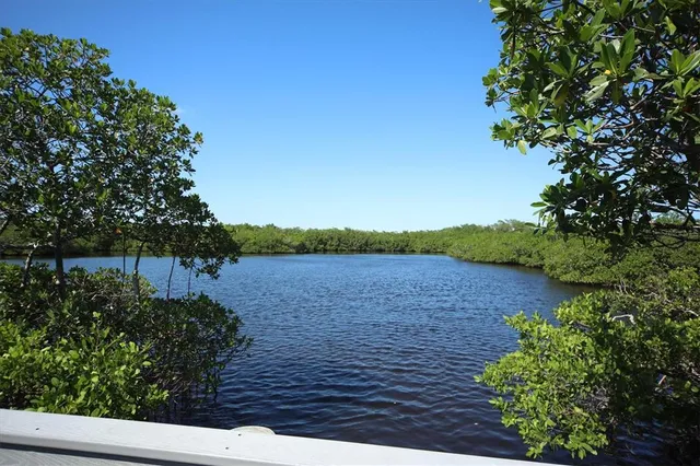 a view of lake with green field