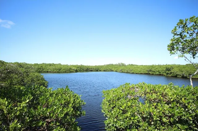 a view of a lake in middle of the house