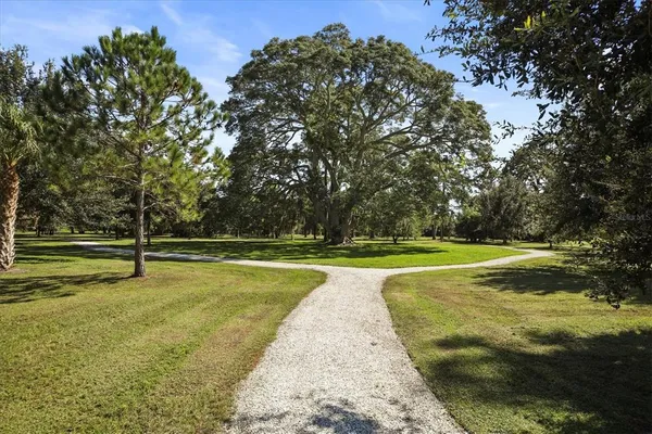 a big yard with lots of green space and trees